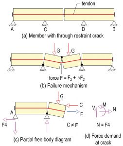 Figure 5. Failure mechanism and partial force diagram of the member with restraint crack.